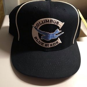 Columbus Birds Baseball Cap
